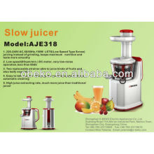 slow juicer